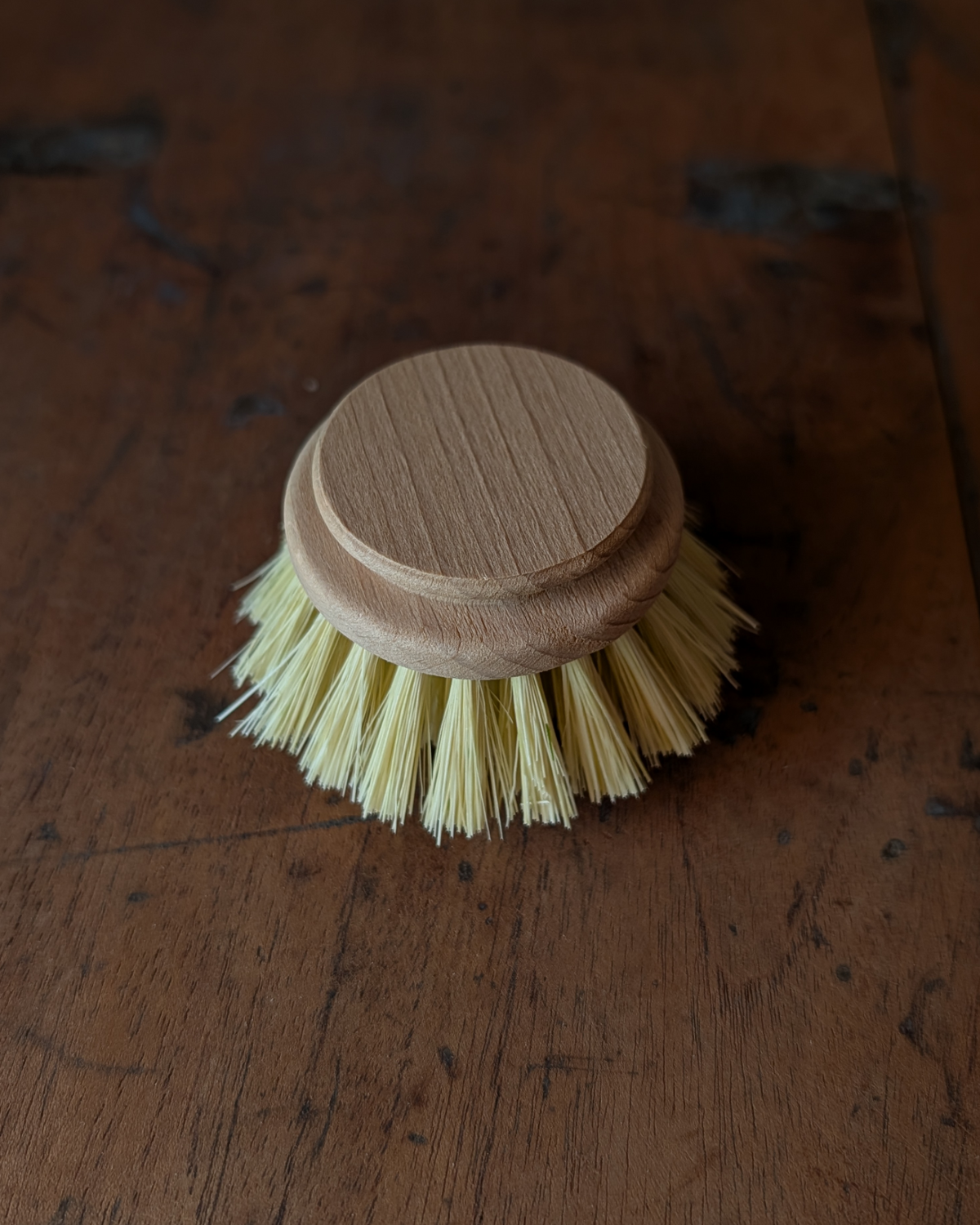 Dish Brush & Extra Head