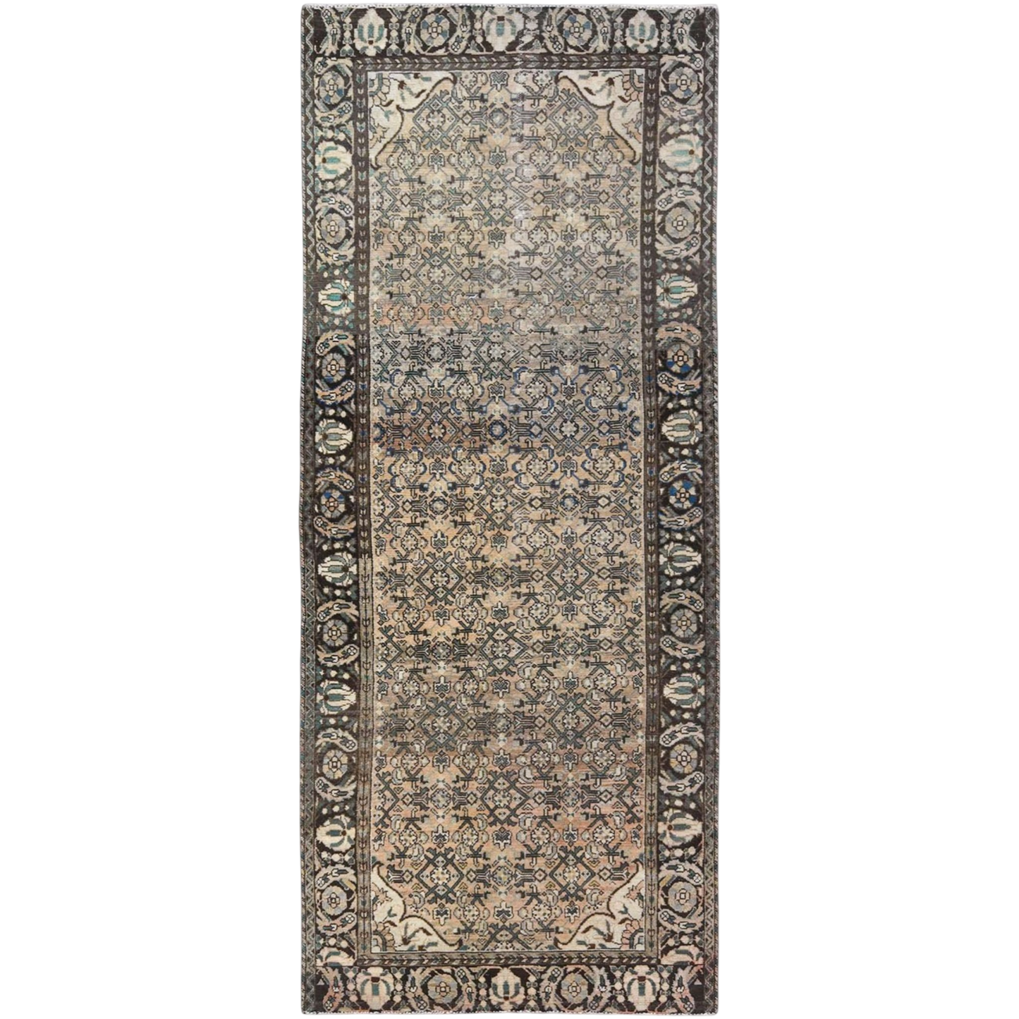Darcy (4'0" x 9'9")