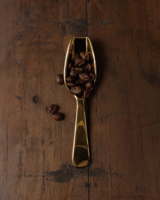 Brass Petite Scoop