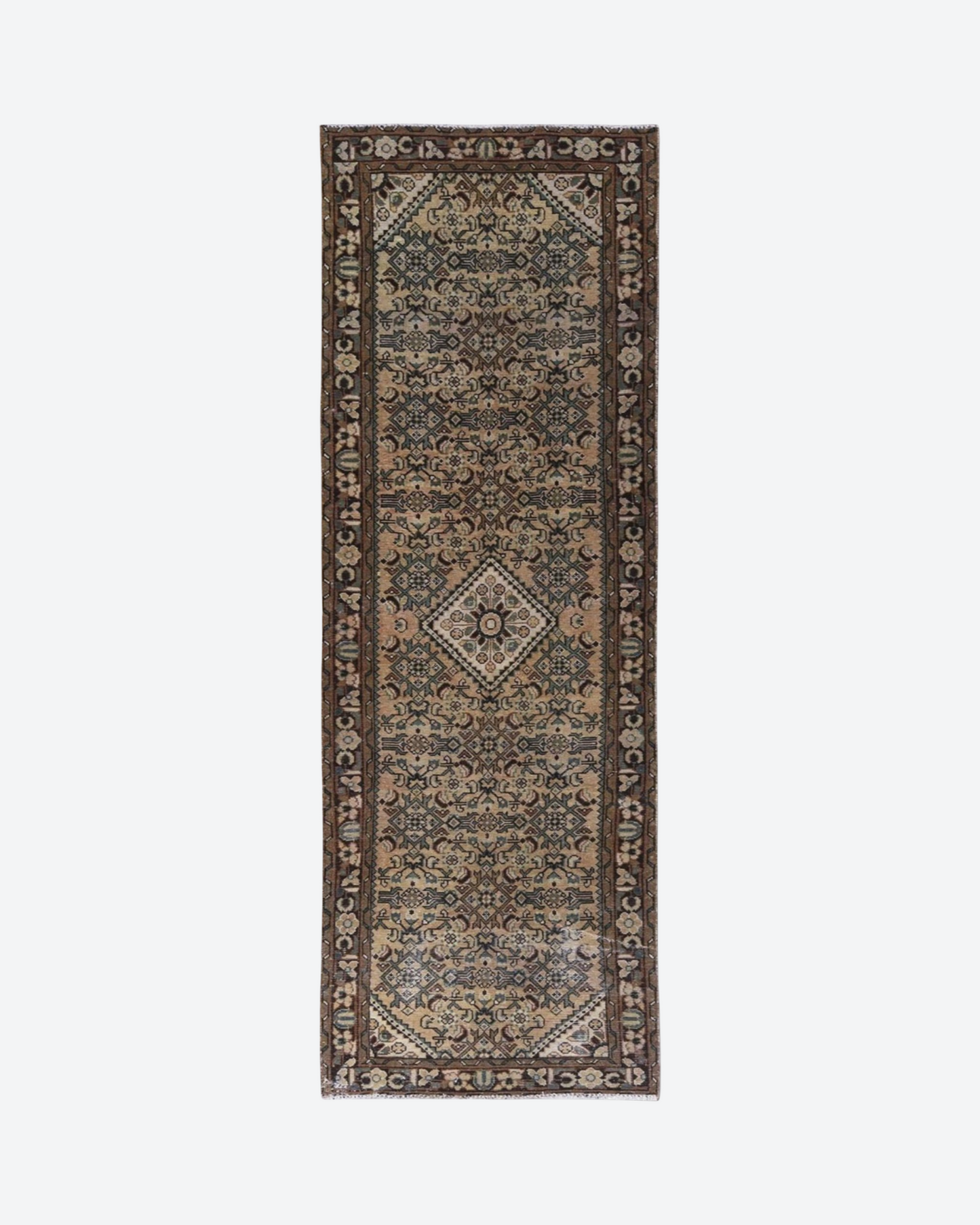 Duke (3'4" x 9'9")