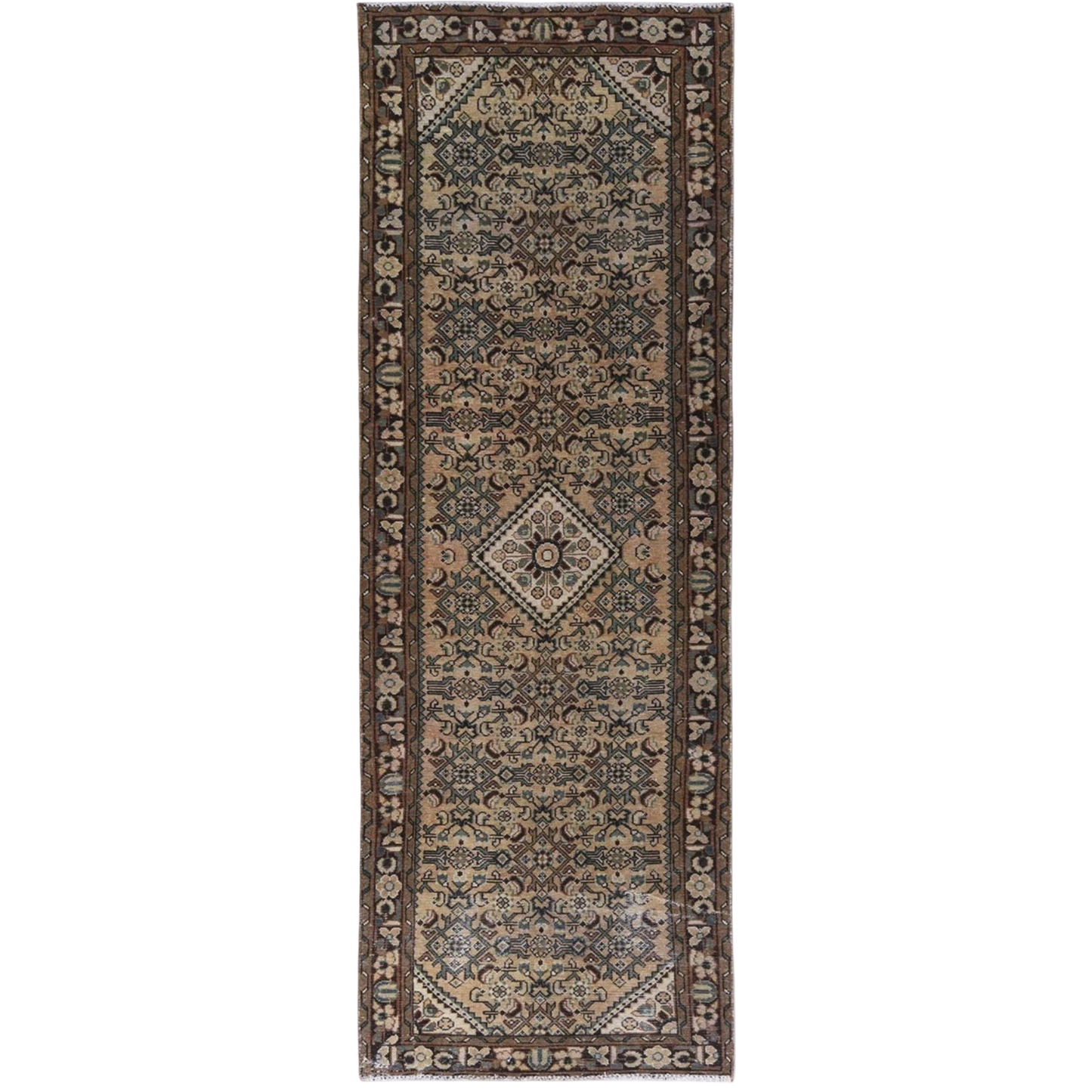 Duke (3'4" x 9'9")