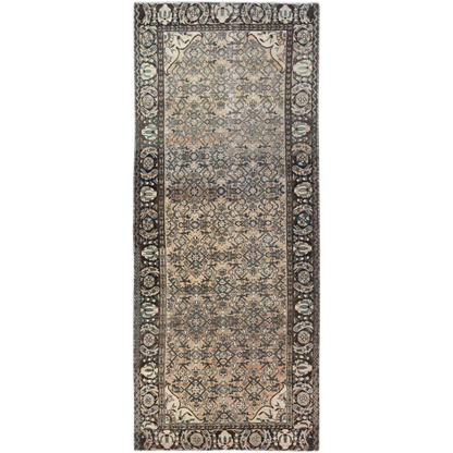 Darcy (4'0" x 9'9")