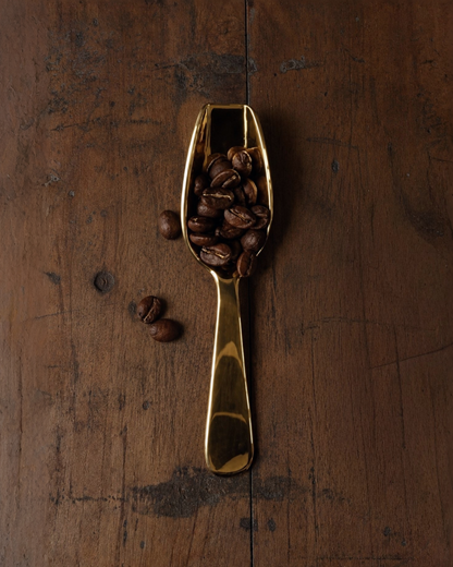 Brass Petite Scoop