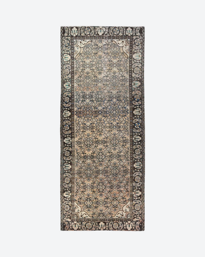 Darcy (4'0" x 9'9")