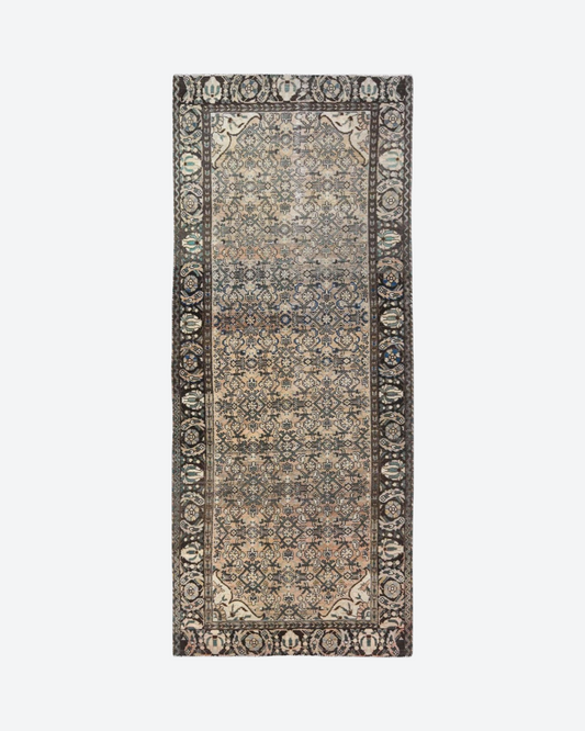 Darcy (4'0" x 9'9")