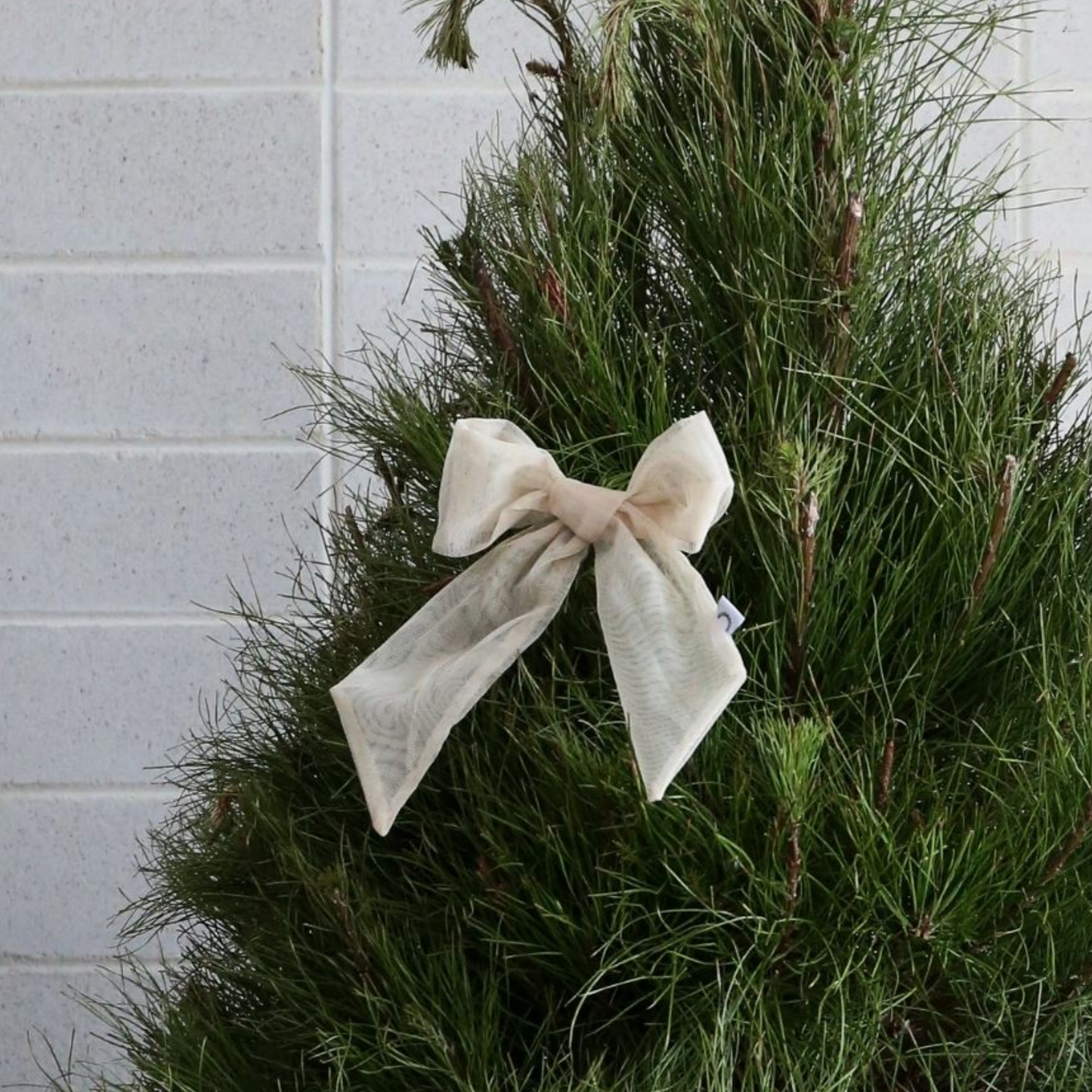 Nude Mesh Tree Bow Clip