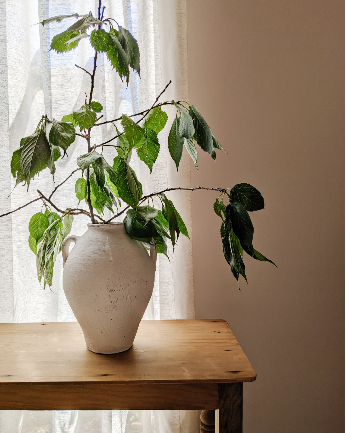 Double Handled Turkish Pot 2